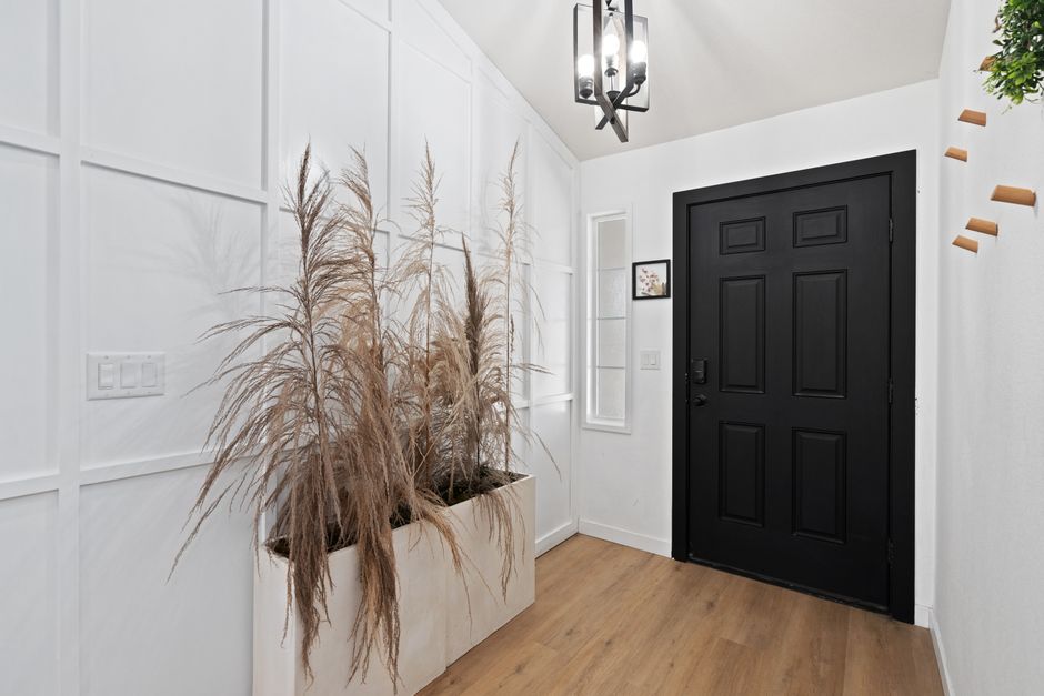 Modern entry door home showing beautiful front entrance